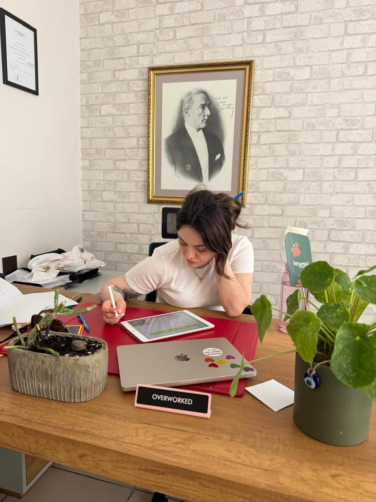 Özdem Ü. Us — Danışmanlık Seansı